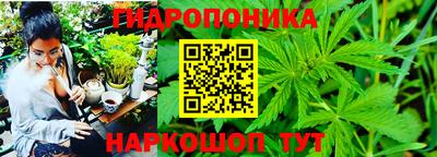 a pvp Гагарин