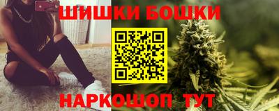 мдпв Гатчина