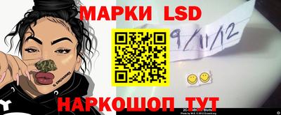 мдпв Гатчина