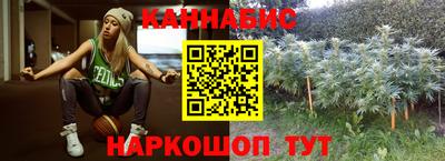 a pvp Гагарин