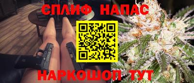 мдпв Гатчина