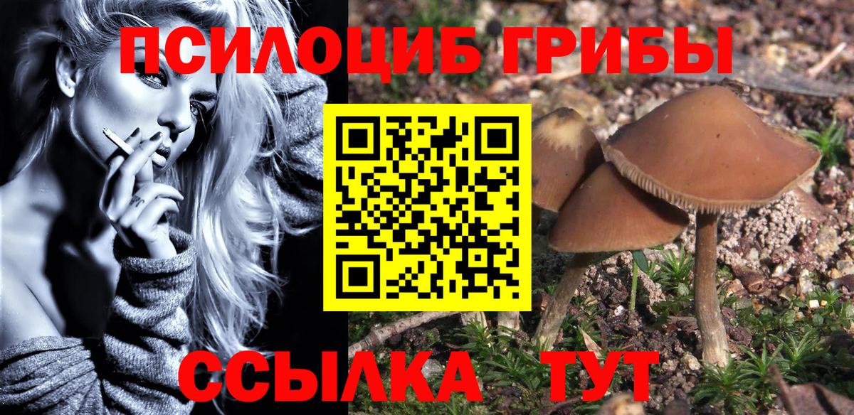 Псилоцибиновые грибы ЛСД Алатырь