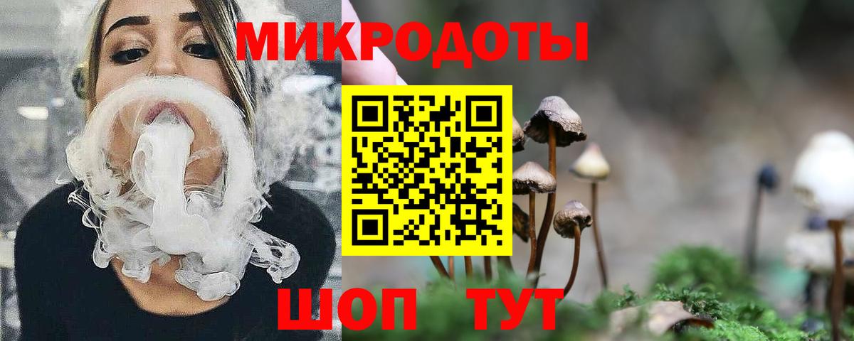 Галлюциногенные грибы Magic Shrooms  Алатырь 