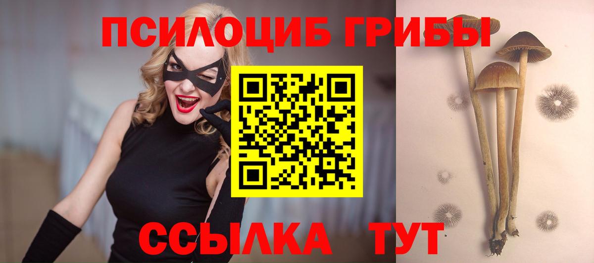 Псилоцибиновые грибы мицелий  Вход с VPN  Алатырь 